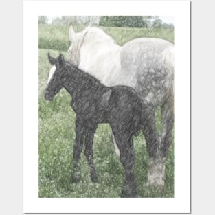 Percheron Colt And Mare In Pasture Digital Art Posters and Art